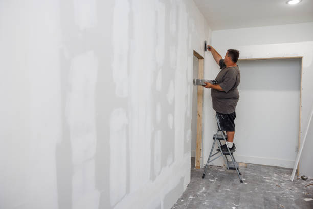 Best Mold Documentation for Insurance Claims  in Coldwater, OH