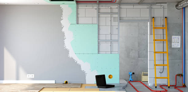Best Emergency Mold Remediation  in Coldwater, OH