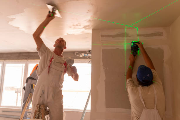 Best Mold Damage Restoration  in Coldwater, OH