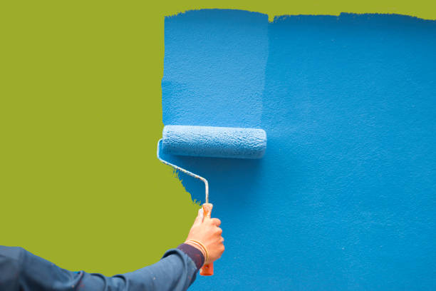 Best Mold Odor Removal Services  in Coldwater, OH