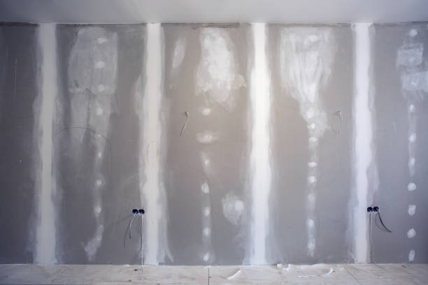 Best Environmental Consulting for Mold Prevention  in Coldwater, OH